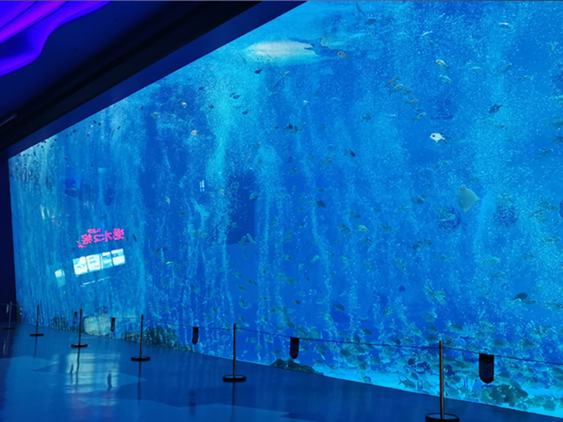 上海海昌海洋馆