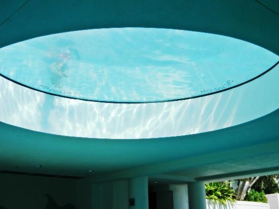 Pool - Picture of The Diplomat Beach Resort Hollywood, Curio Collection by Hilton - Tripadvisor